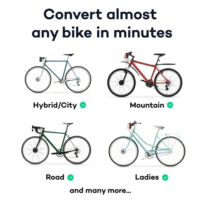 Swytch Max Battery LCD Display 26-inch 9mm Axle E-Bike Conversion Kit in Silver-1