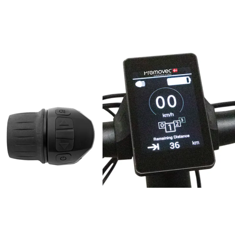 Batribike Graphic Display in Black