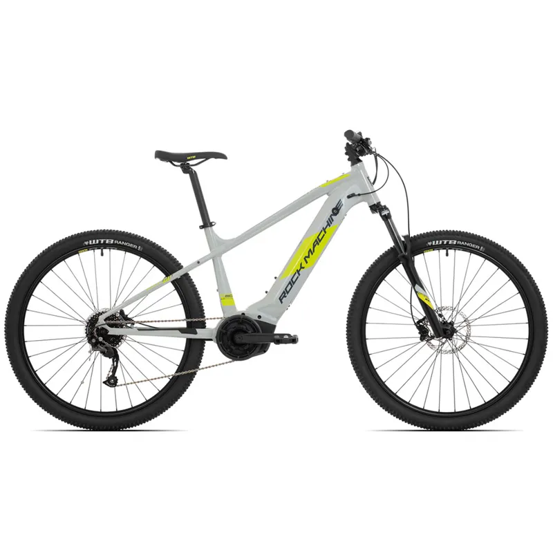 Torrent INT e50-29 E- Bike Grey